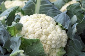 Cruciferous vegetables